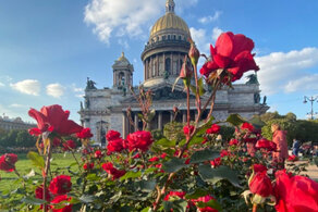 экскурсия по Петербургу с Петропавловской крепостью экскурсия по Петербургу с Петропавловской крепостью